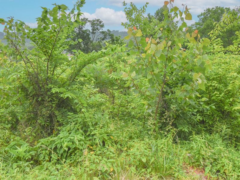 4768 River Road, Hebron, KY 41048 Photo 8