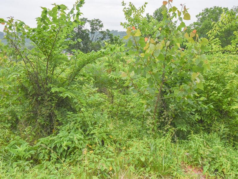 4768 River Road, Hebron, KY 41048 Photo 9