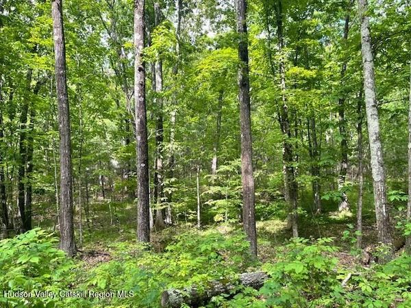 L-6 N Joel M Austin Road, Cairo, NY 12413