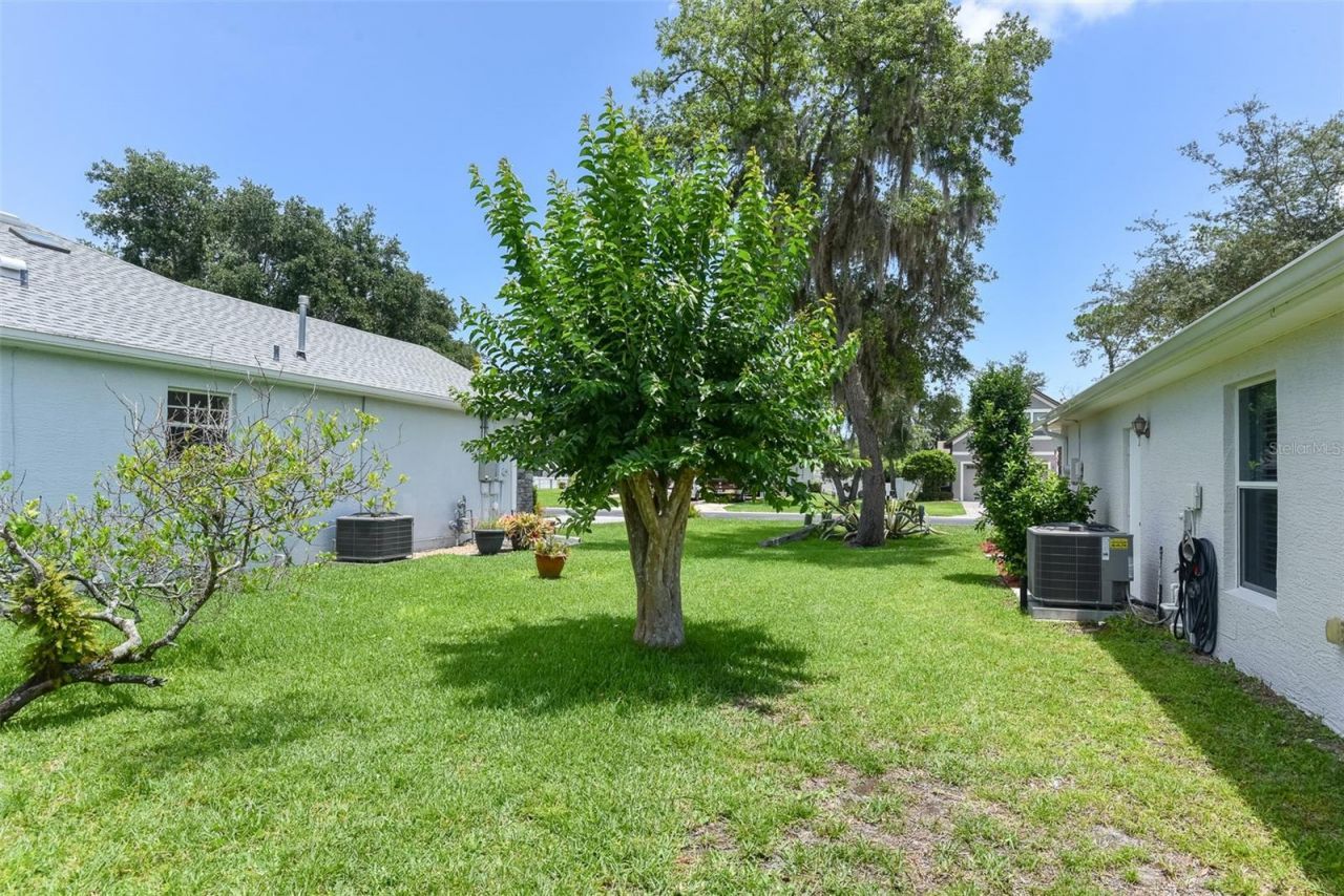 736 Aldenwood Trail, New Smyrna Beach, FL 32168 Photo