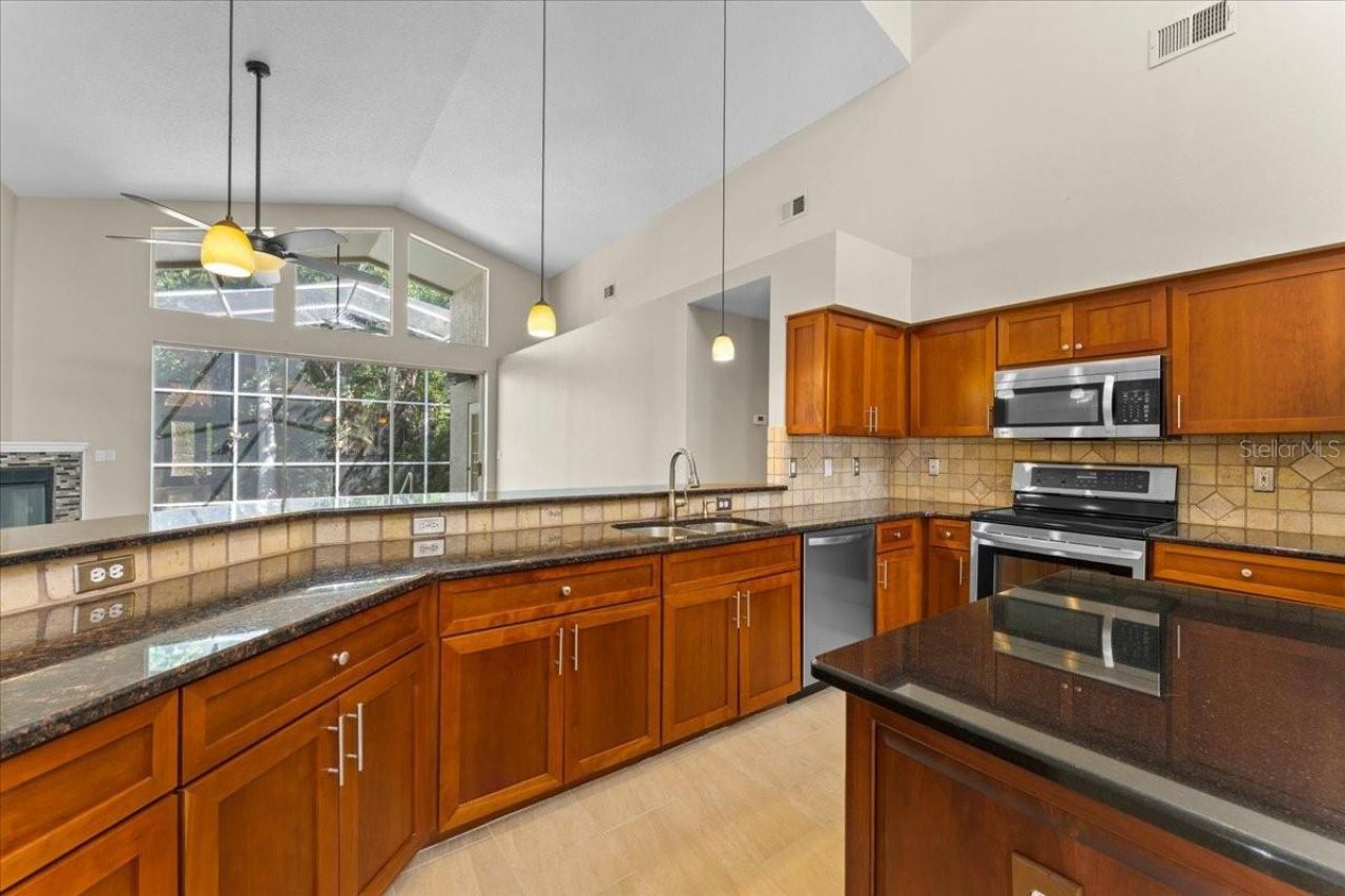 4761 Stonebriar Drive, Oldsmar, FL 34677 Photo