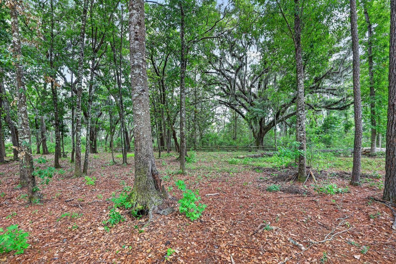 102 Teal Bluff Boulevard Photo 52