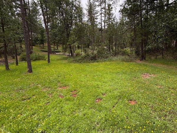 6428 Twin Oaks Ct, Foresthill, CA 95631