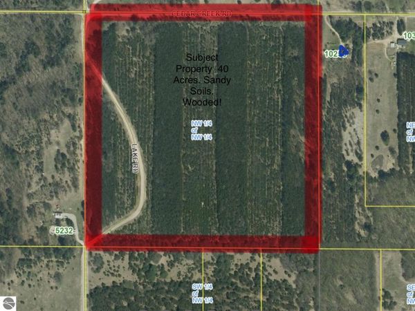 40 Cedar Creek Road, Fife Lake, MI 49633