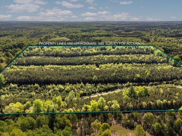 40 Cedar Creek Road, Fife Lake, MI 49633
