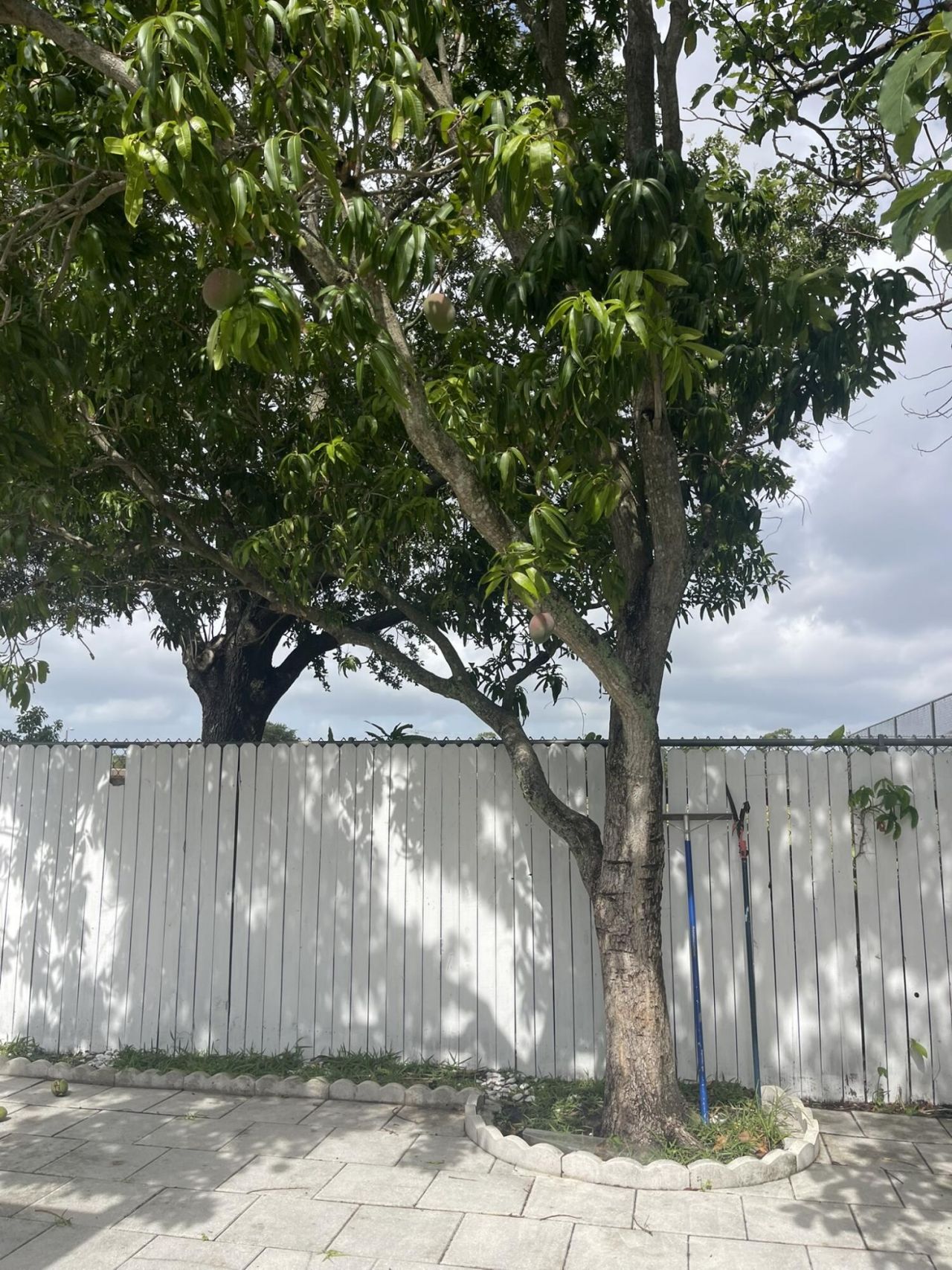 1534 Royal Forest Court, West Palm Beach, FL 33406 Photo