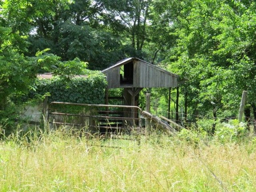 Property Image 12
