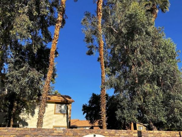 78650 Avenue 42, Unit 1515, Bermuda Dunes, CA 92203