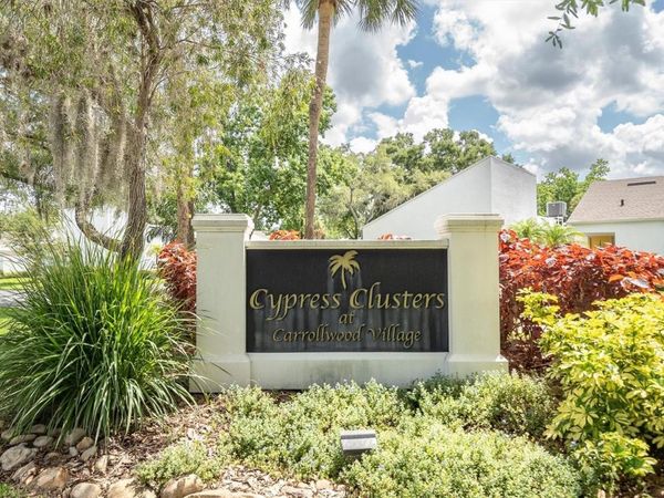 14118 CYPRESS RUN , Unit 14, TAMPA, FL 33618