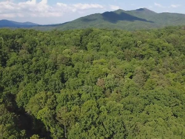 Fox Hunters Lane, Sevierville, TN 37876