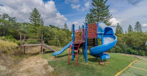 19333 American Flat Side Rd, Fiddletown, CA 95629 Photo