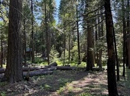 216 Mewko Way, Camp Connell, CA 95223 Photo