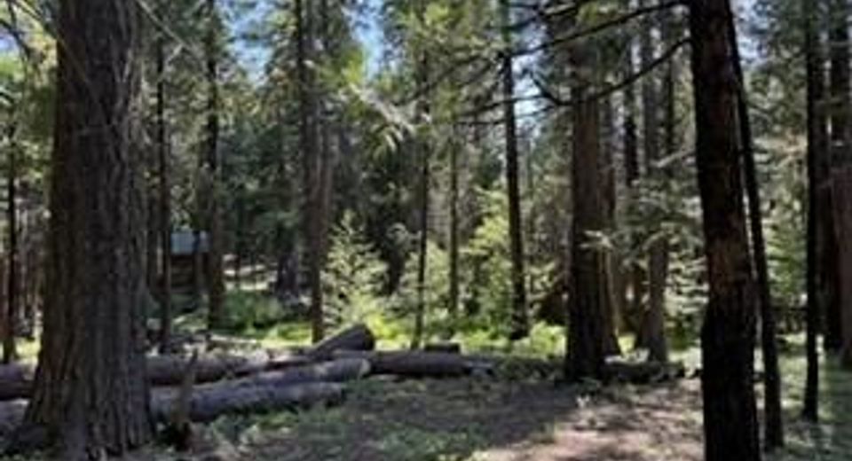 216 Mewko Way, Camp Connell, CA 95223 Photo