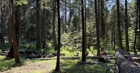 216 Mewko Way, Camp Connell, CA 95223 Photo