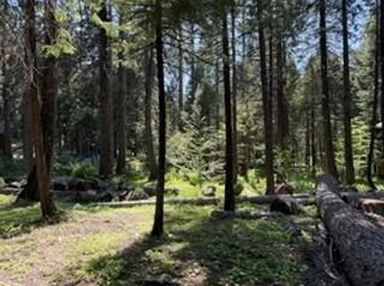 216 Mewko Way, Camp Connell, CA 95223 Photo