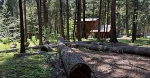 216 Mewko Way, Camp Connell, CA 95223 Photo