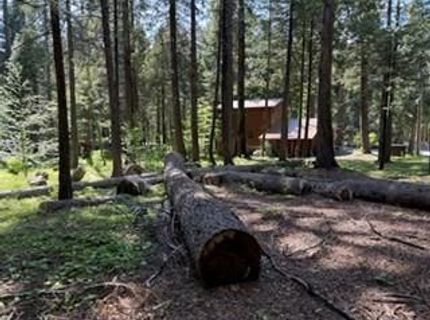 216 Mewko Way, Camp Connell, CA 95223 Photo