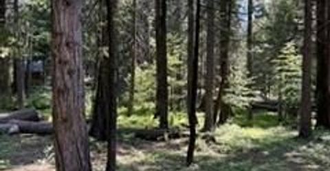 216 Mewko Way, Camp Connell, CA 95223 Photo
