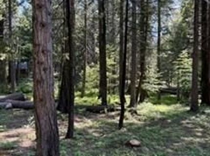 216 Mewko Way, Camp Connell, CA 95223 Photo