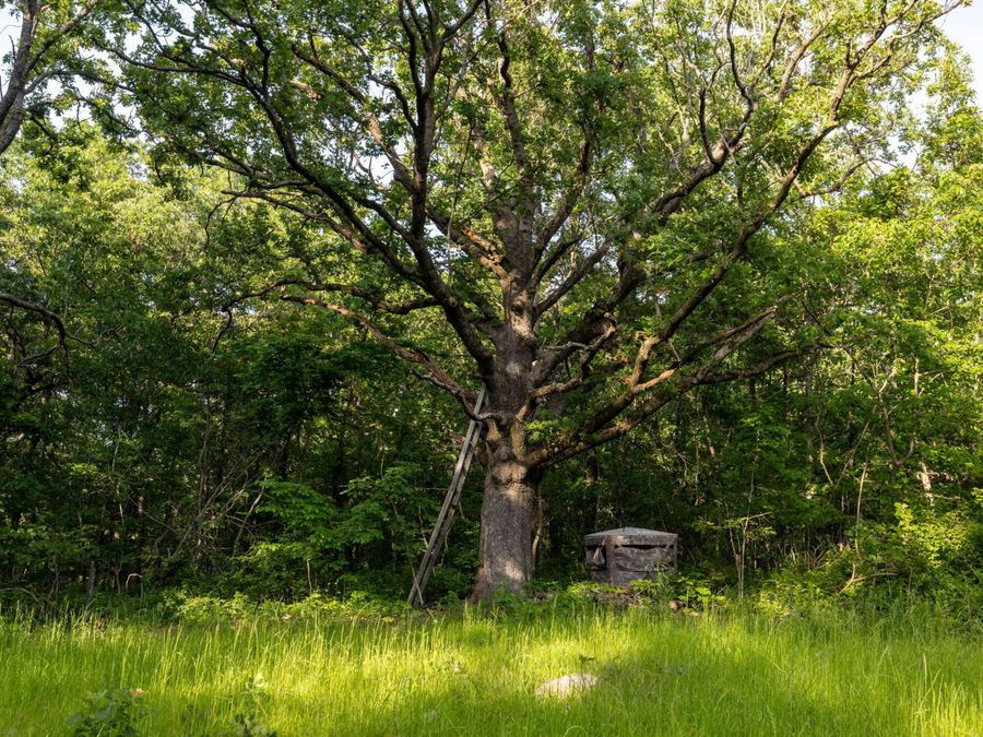 Property Image 35