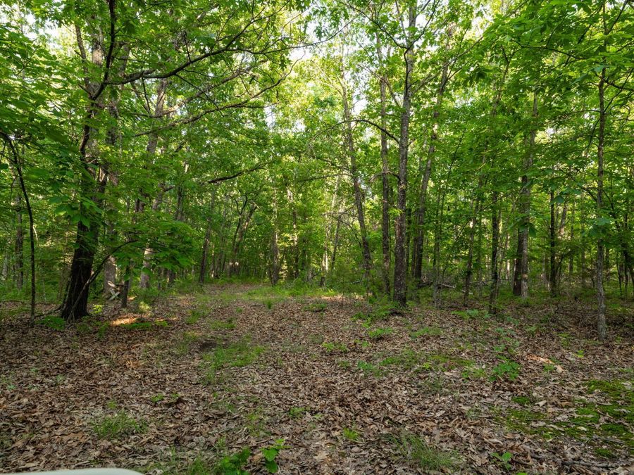 Property Image 51