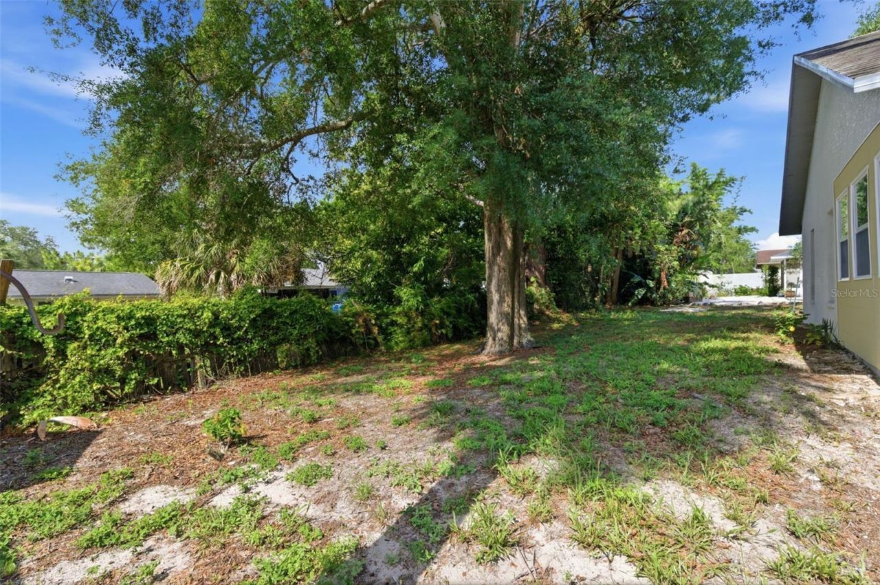5514 Kentucky Avenue, New Port Richey, FL 34652 Photo