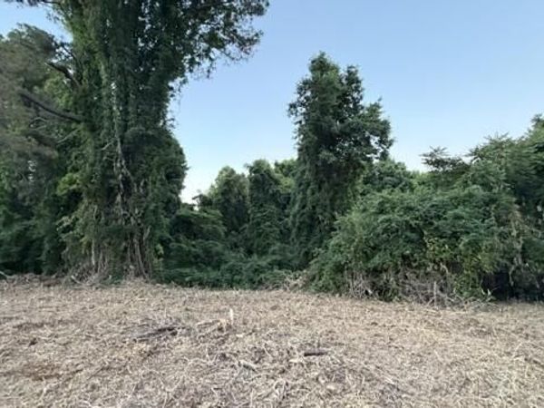 00 Baker Road and Brier Creek Road , Huntingdon, TN 38344