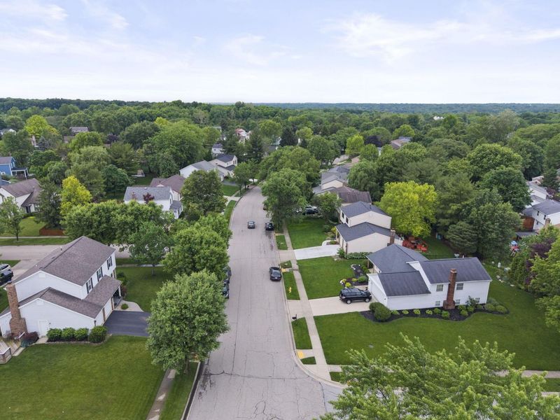 424 Green Meadows Drive W, Powell, OH 43065 Photo 46