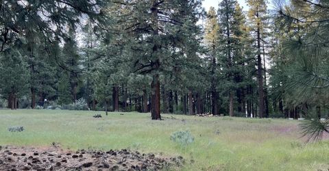 4300 Meadow Wood Road, Carson City, NV 89703 Photo
