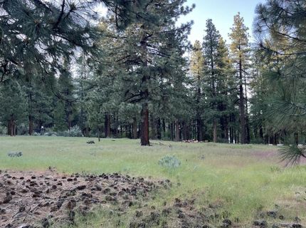 4300 Meadow Wood Road, Carson City, NV 89703 Photo