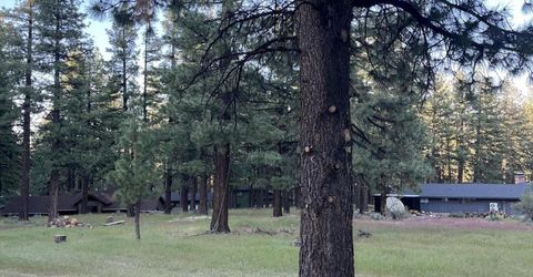 4300 Meadow Wood Road, Carson City, NV 89703 Photo