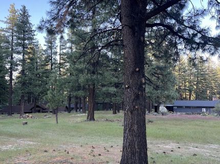 4300 Meadow Wood Road, Carson City, NV 89703 Photo