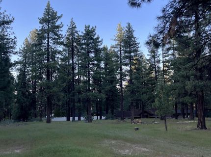 4300 Meadow Wood Road, Carson City, NV 89703 Photo