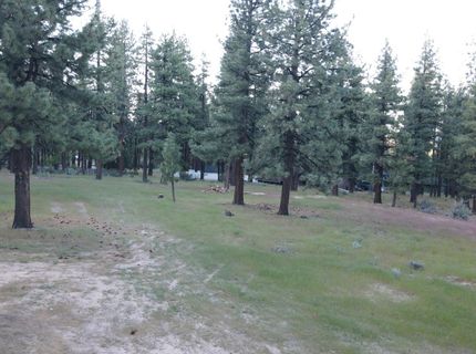 4300 Meadow Wood Road, Carson City, NV 89703 Photo