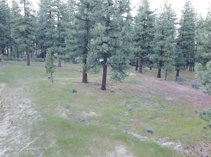4300 Meadow Wood Road, Carson City, NV 89703 Photo