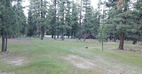 4300 Meadow Wood Road, Carson City, NV 89703 Photo