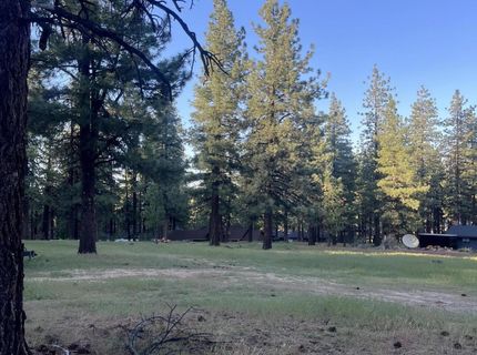 4300 Meadow Wood Road, Carson City, NV 89703 Photo