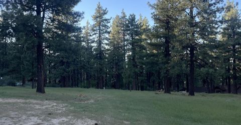 4300 Meadow Wood Road, Carson City, NV 89703 Photo