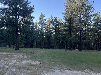 4300 Meadow Wood Road, Carson City, NV 89703 Photo