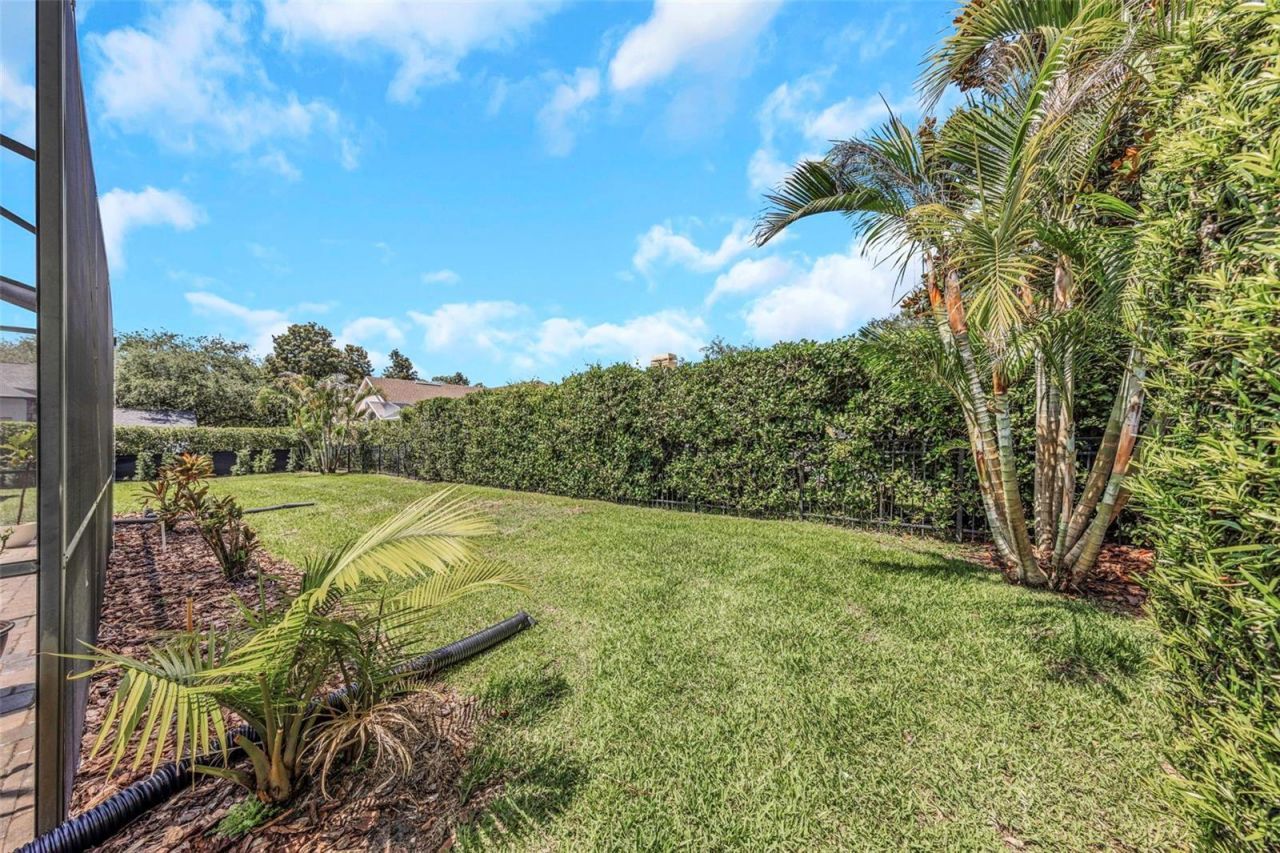 3675 Janus Way, Palm Harbor, FL 34685 Photo