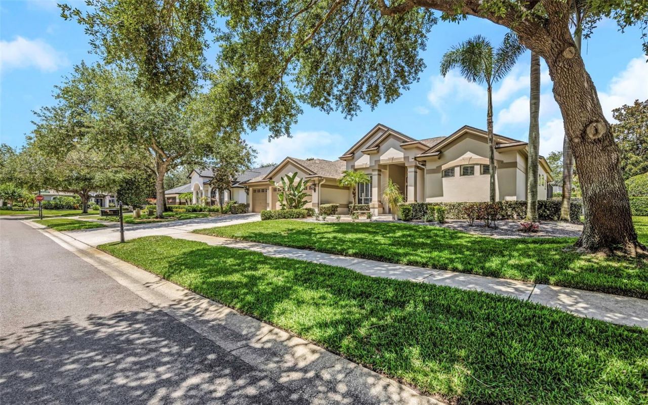 3675 Janus Way, Palm Harbor, FL 34685 Photo