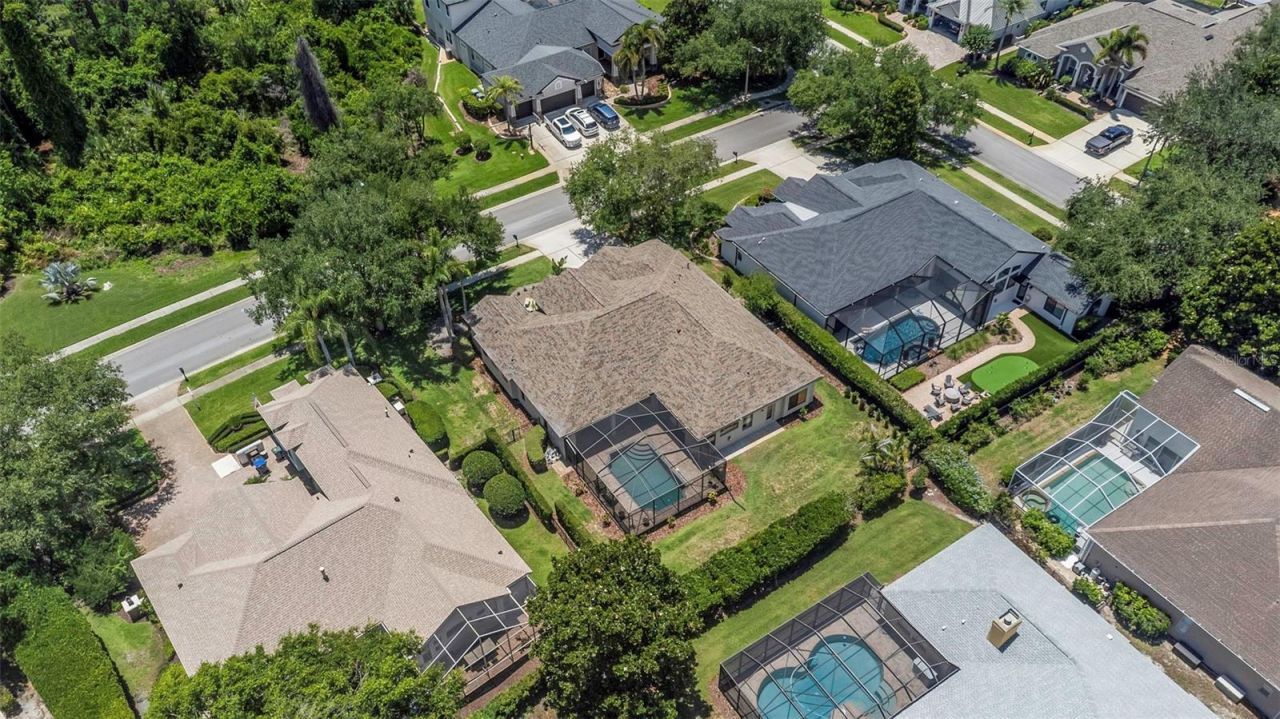 3675 Janus Way, Palm Harbor, FL 34685 Photo