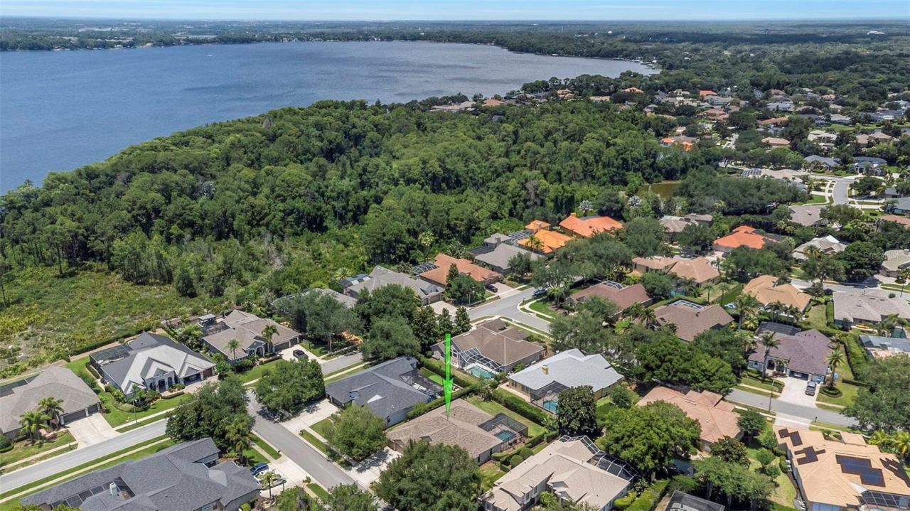 3675 Janus Way, Palm Harbor, FL 34685 Photo
