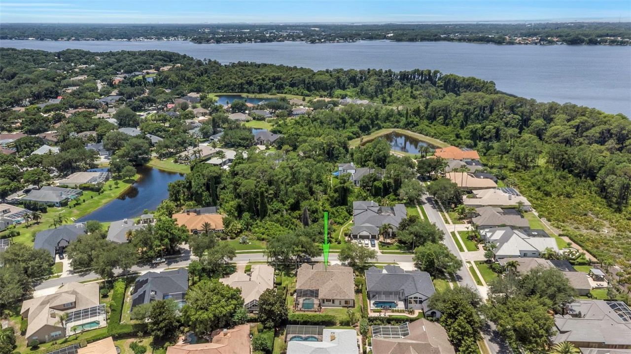 3675 Janus Way, Palm Harbor, FL 34685 Photo