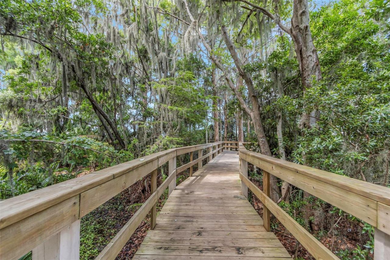 3675 Janus Way, Palm Harbor, FL 34685 Photo