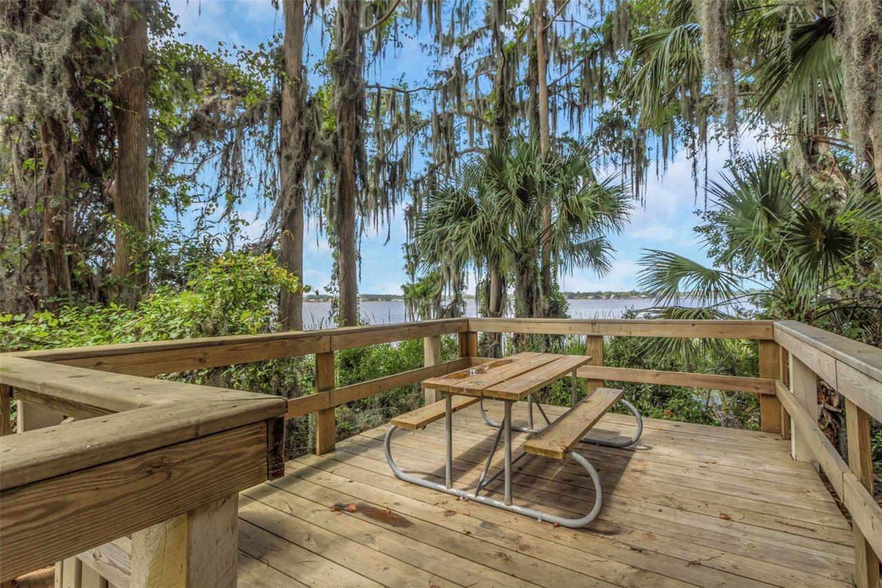 3675 Janus Way, Palm Harbor, FL 34685 Photo