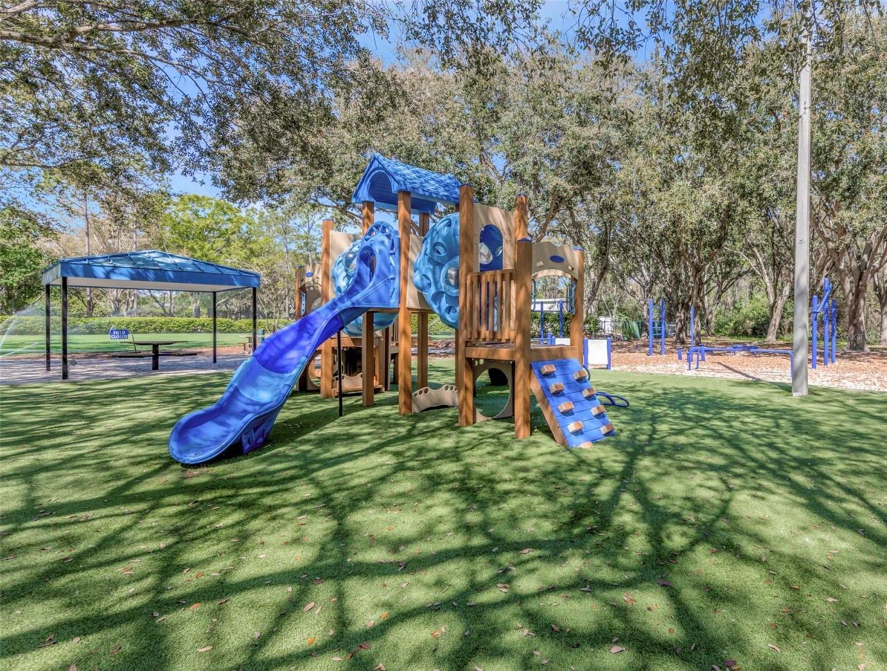 3675 Janus Way, Palm Harbor, FL 34685 Photo