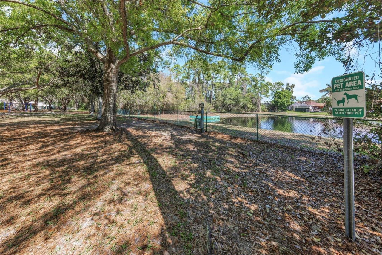 3675 Janus Way, Palm Harbor, FL 34685 Photo