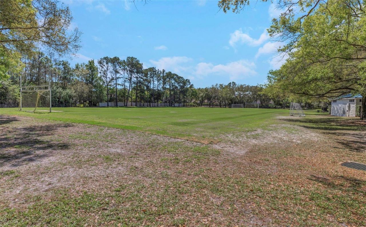 3675 Janus Way, Palm Harbor, FL 34685 Photo