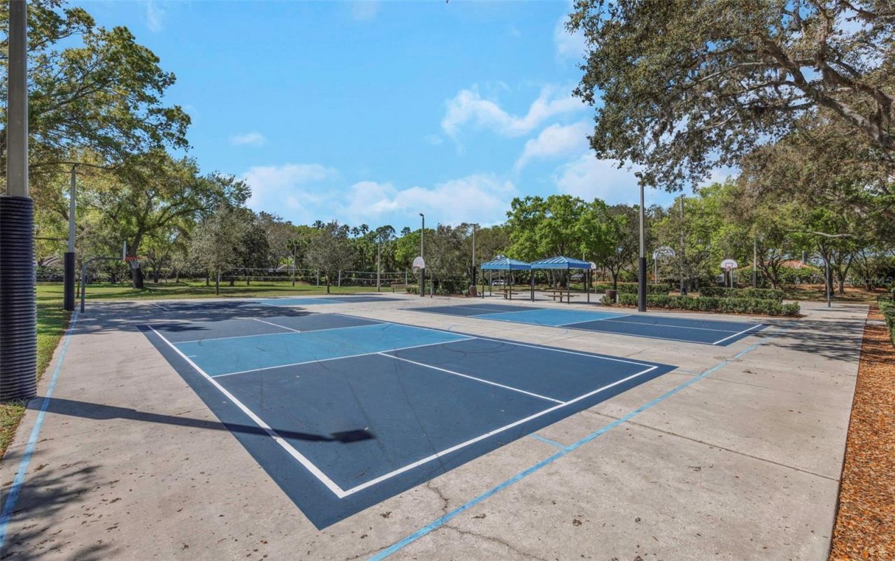3675 Janus Way, Palm Harbor, FL 34685 Photo